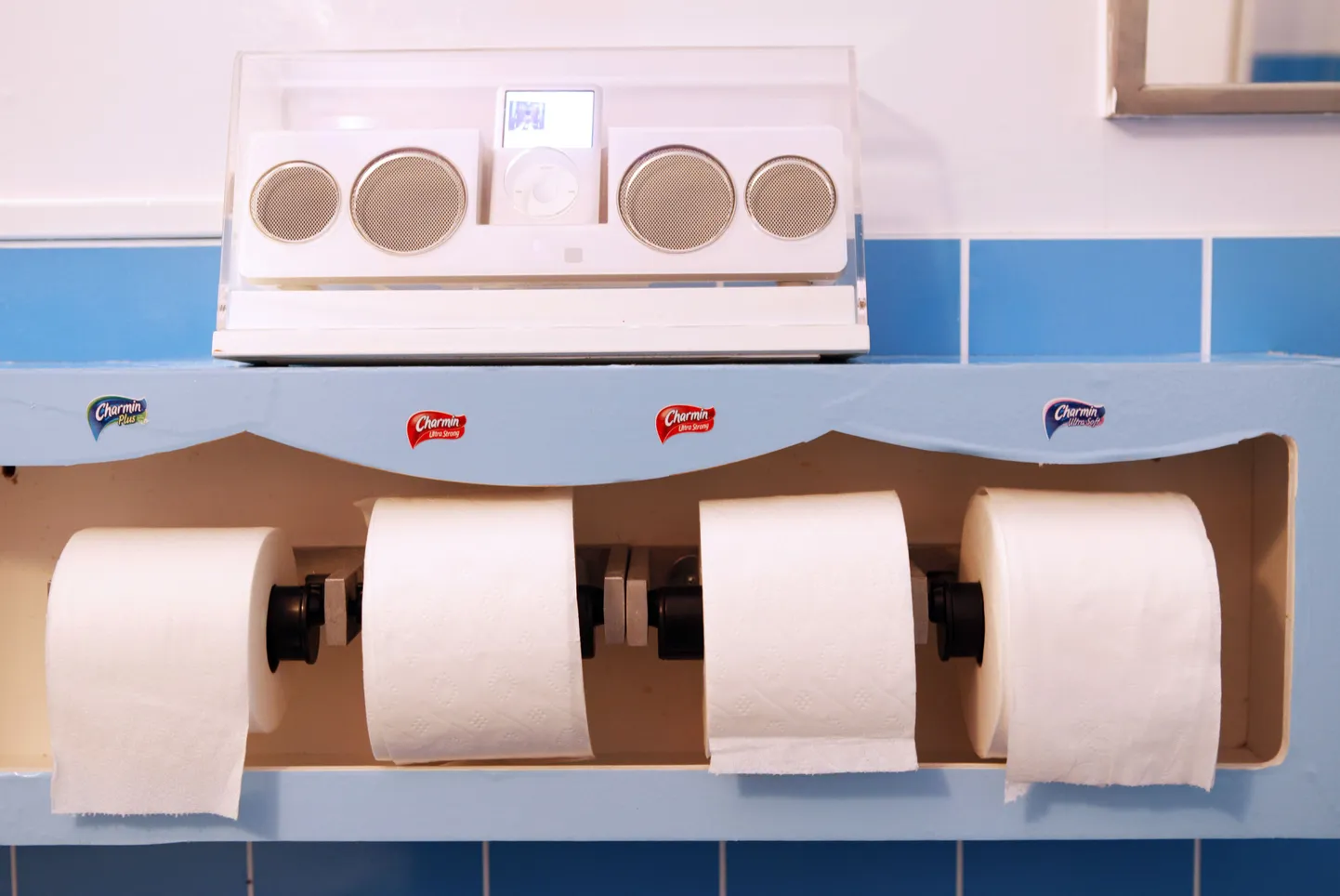 Naised loobusid looduse säästmise nimel WC-paberist