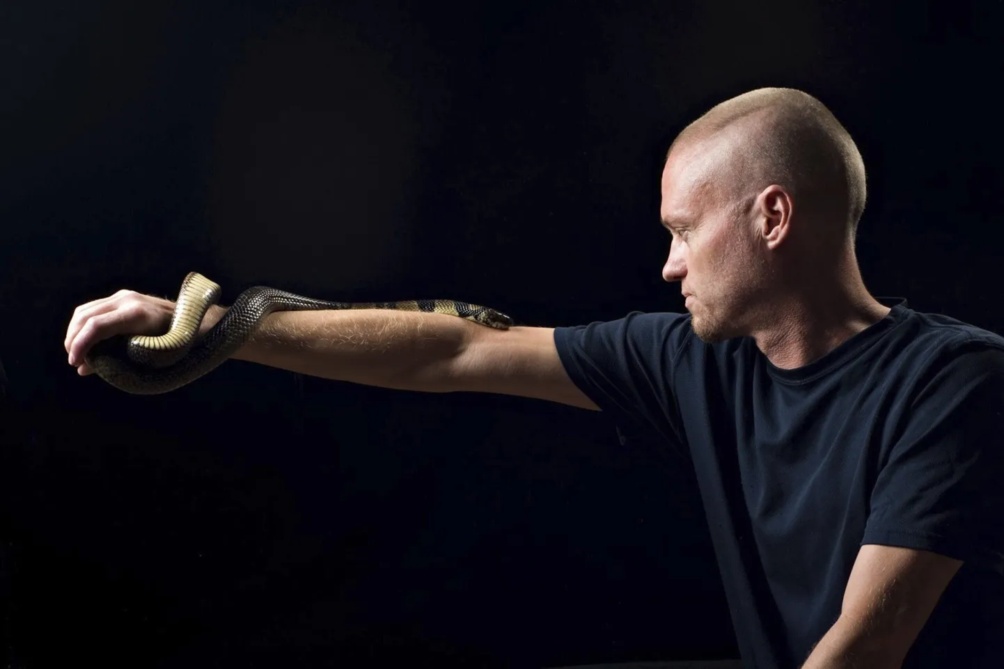 This undated photo provided by Centivax in 2025 shows Tim Friede, who is hyper-immune to the venom of various snakes, with a water cobra wrapped around his arm. (Centivax via AP)  NY931