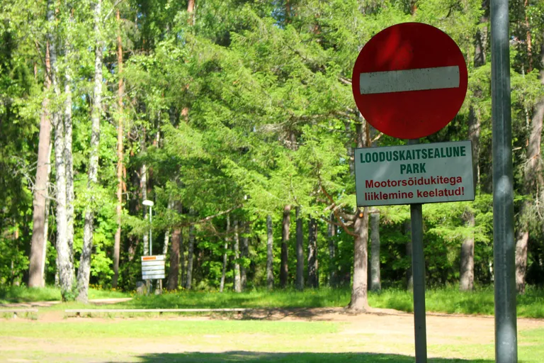 Tõrva gümnaasiumi kõrval asetsev park.