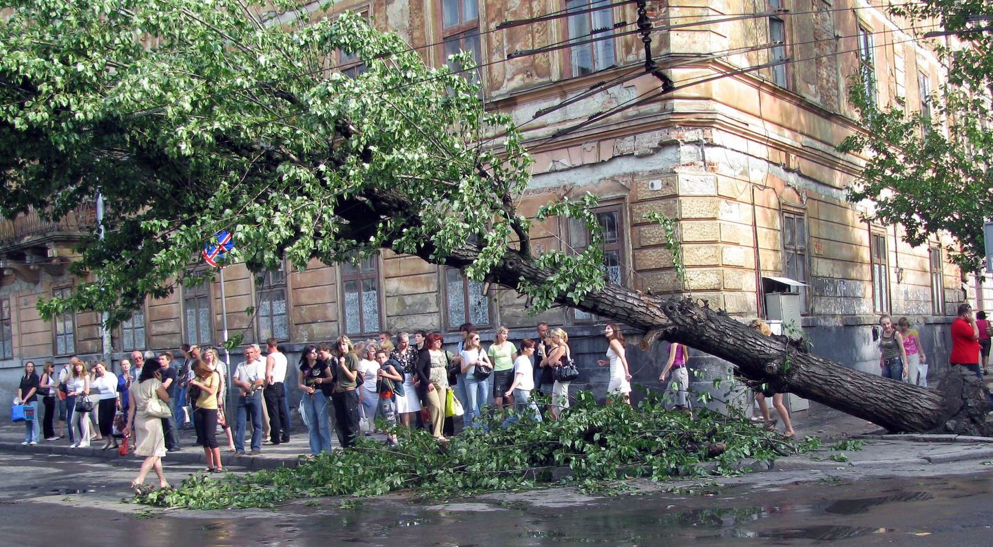 Tormid tegid laastamistööd ka Lvivi kesklinnas.