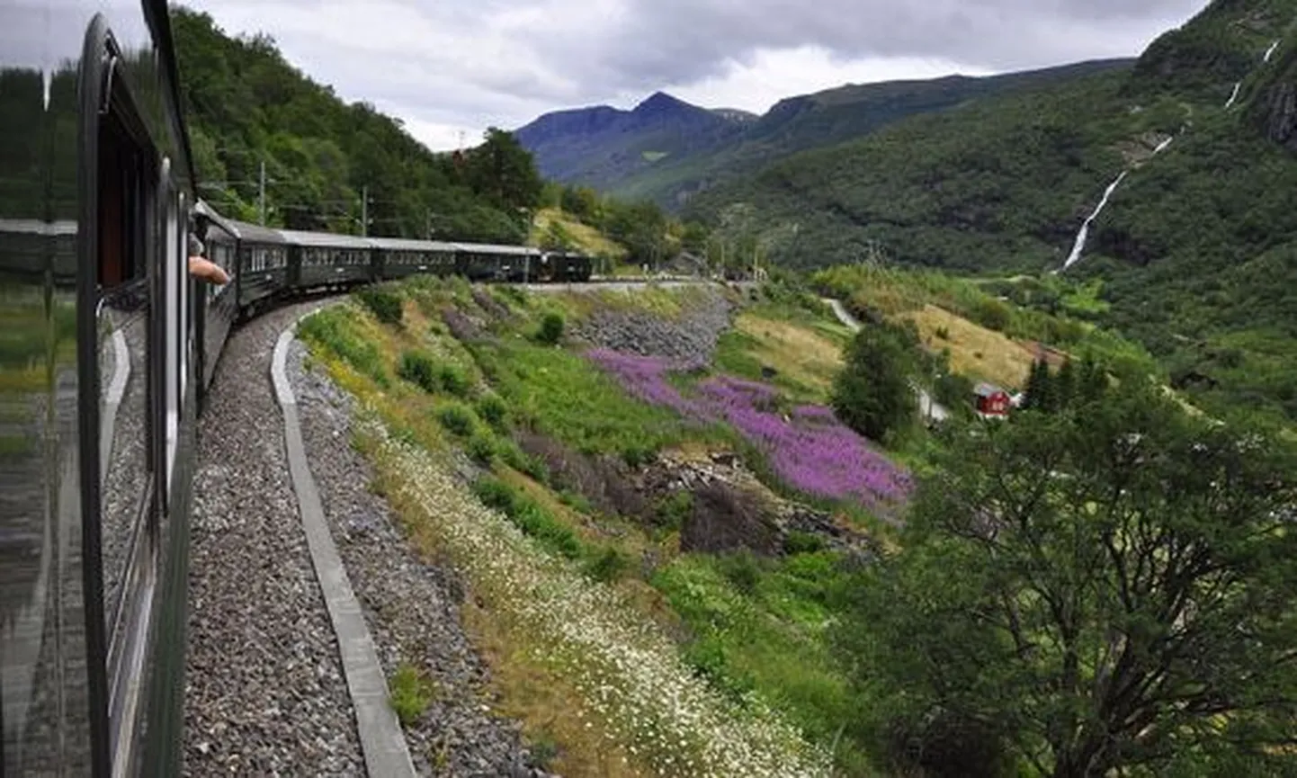 Flåm Line'i vaated