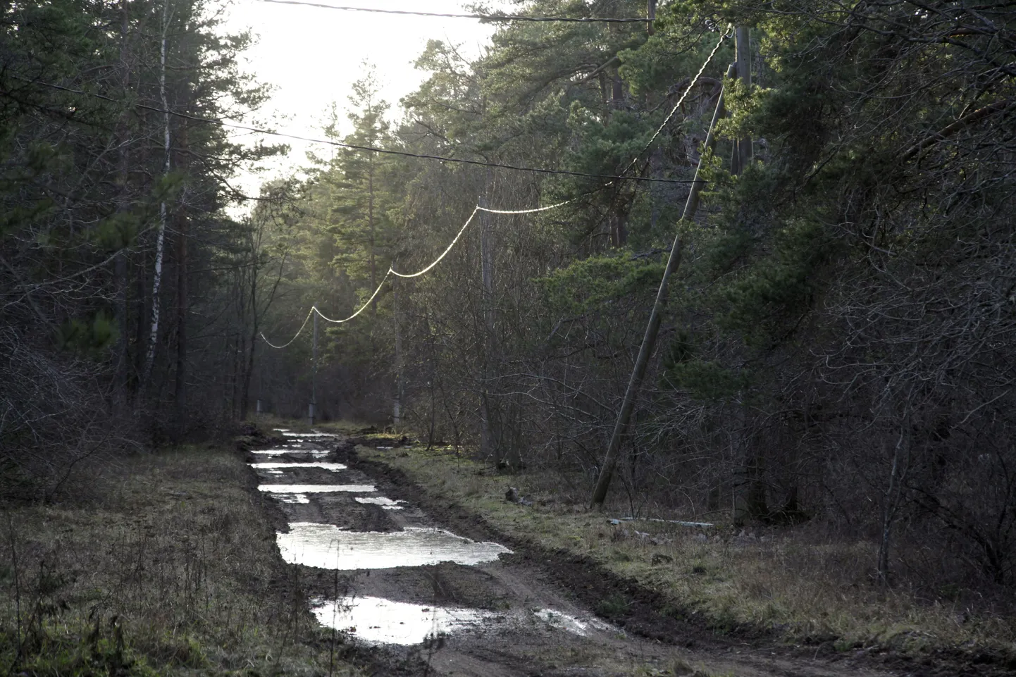 Elektriliinid Arukülas.