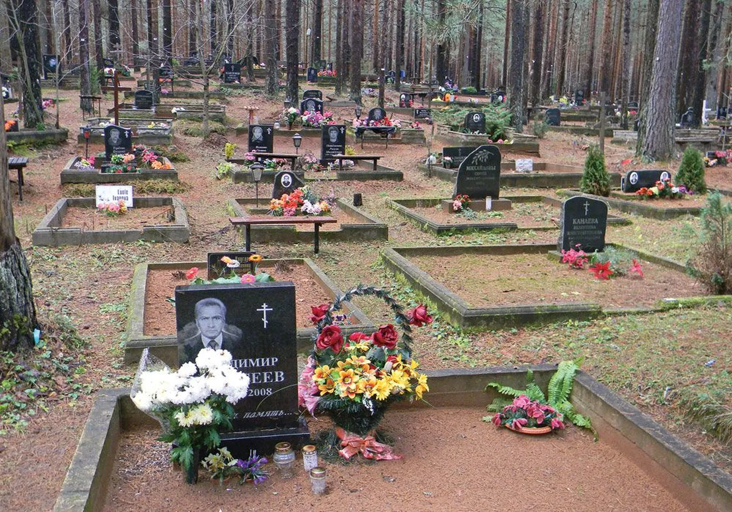 Кладбище Рийгикюла.