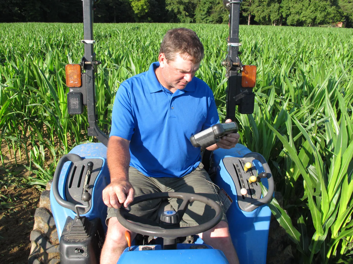 USA farmer üllatas abikaasat 50. pulma-aastapäeval maisipõllupildiga