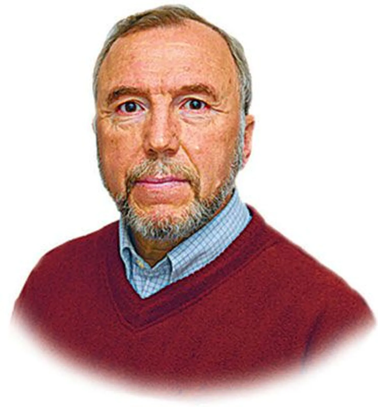 Rein Veidemann