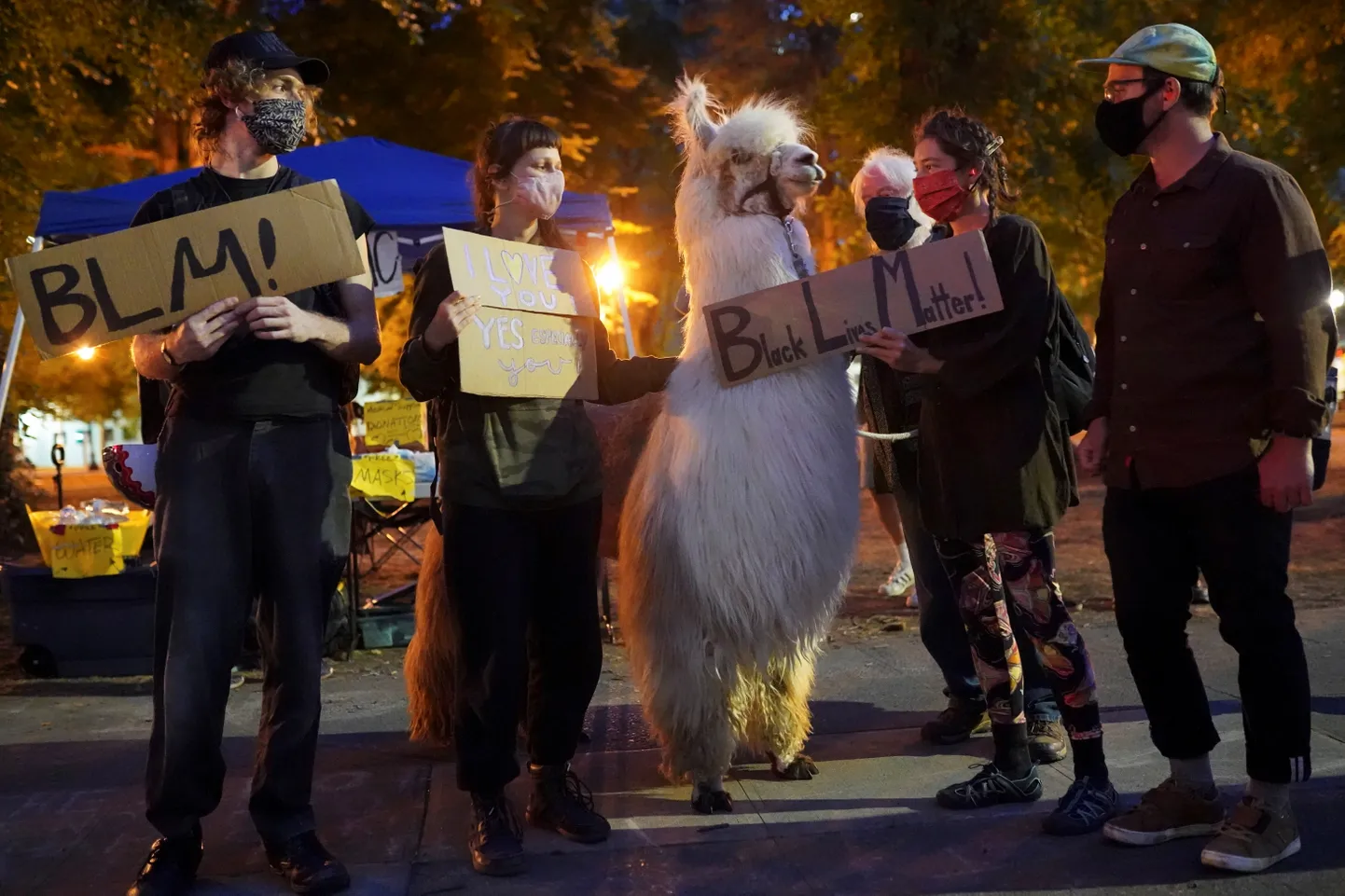 Teraapialaama koos protestijatega Portlandis.