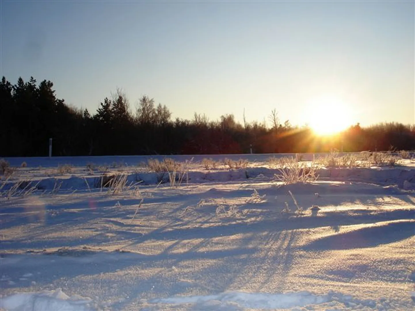 Talvepäike