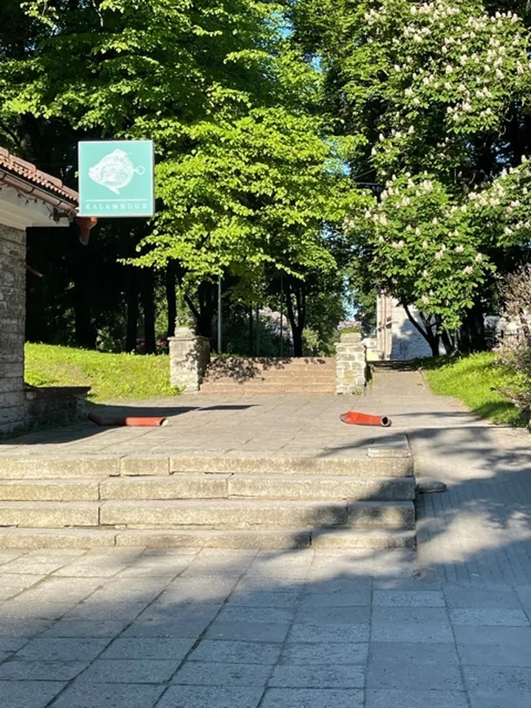 Lõhutud veerenn