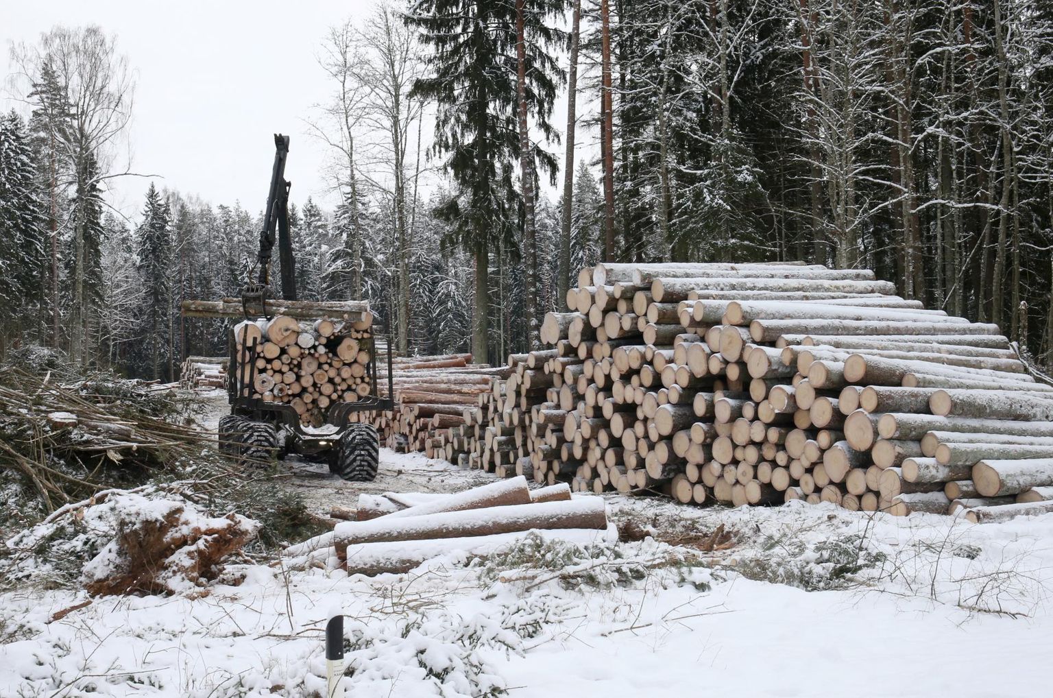 Miks Eesti metsa kasvab paberil muudkui juurde, kui päris metsas puidutagavara üha väheneb, sellele küsimusele avalikkus vastust ei saanud.