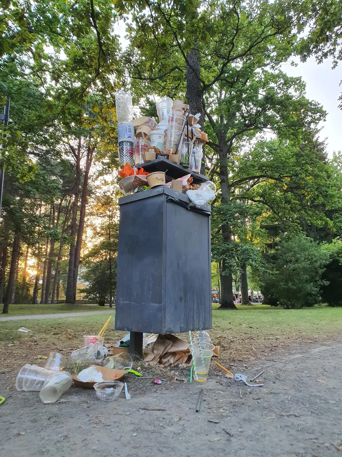 Tänavatoidufestivali prügikastid ajasid üle ääre.