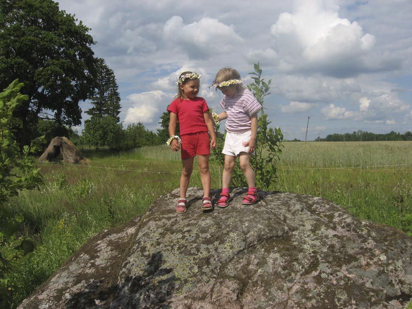 Heino Laiapea 2007. aastal tehtud foto lapselastest märgiti ära Euroopa põllumajandusfotode ja -videote võistlustel.