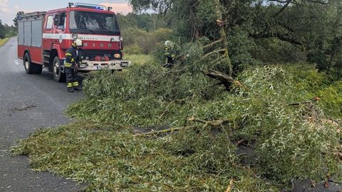 Päästjad kehastusid mitmel puhul saemeesteks