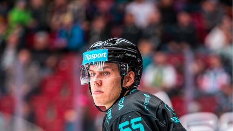 Jaks un Mamčics rezultatīvi Čehijas ekstralīgas ceturtdaļfināla mačā