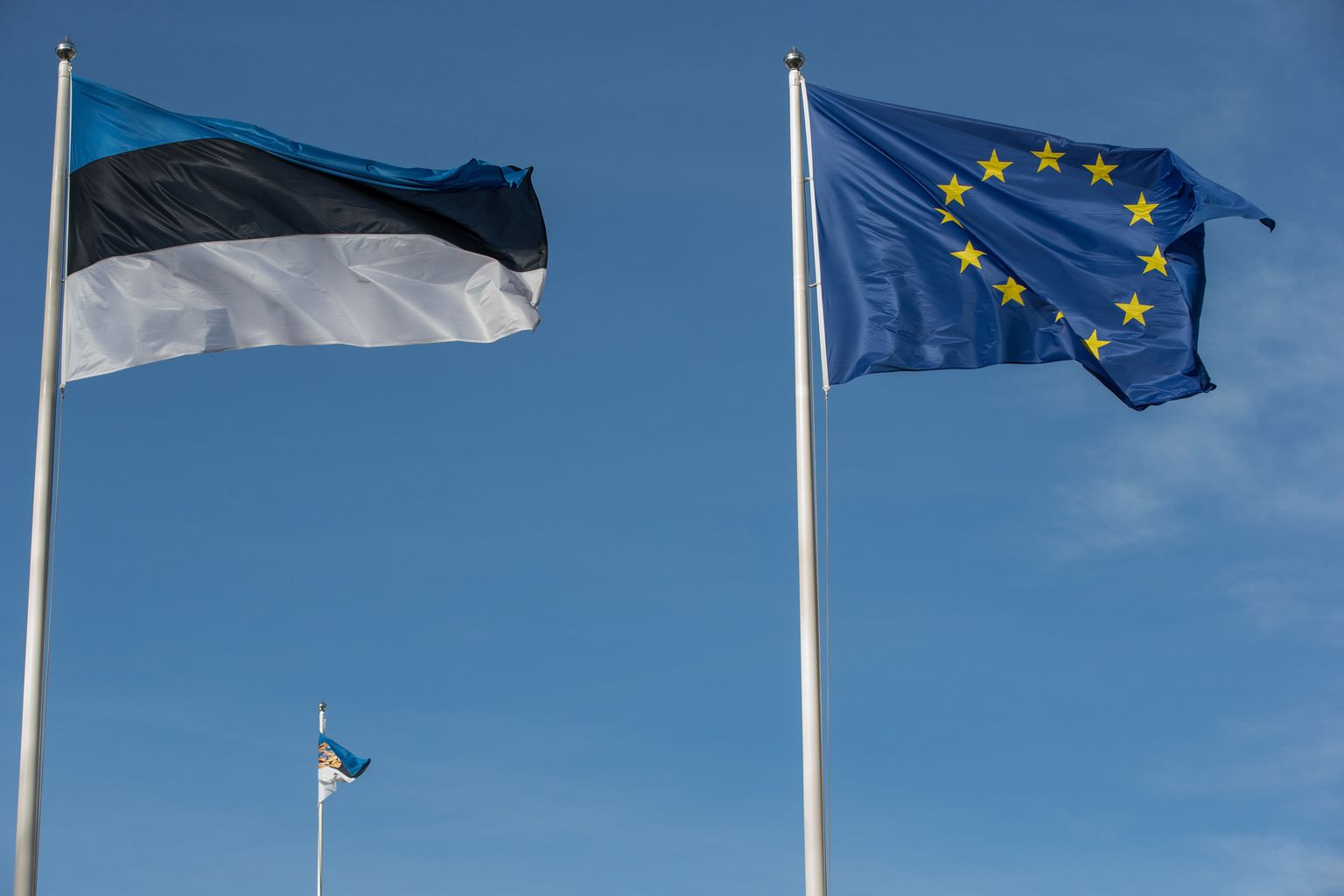 Eesti ja Euroopa lipp.