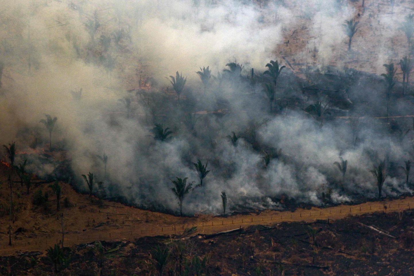 Põleng Amazonases.