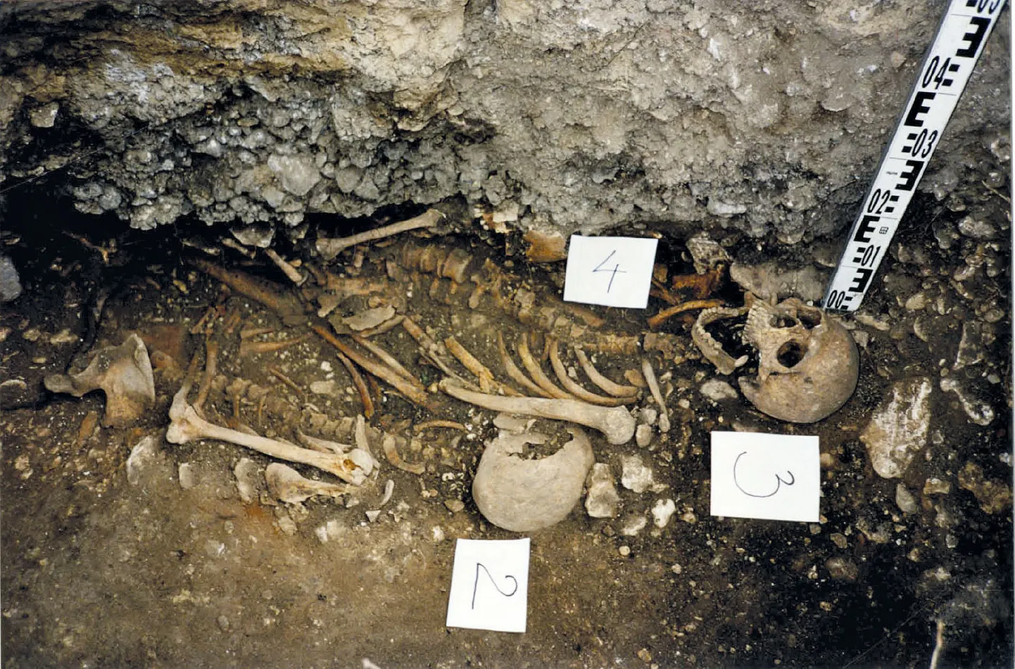1999. aastal Niguliste tänava kirikupoolsel küljel välja puhastatud kolmikmatus mehe, naise ja lapsega. Arheoloog Peeter Talvari foto pärineb OÜ Tael 2000. aasta arheoloogilste uuringute aruandest.