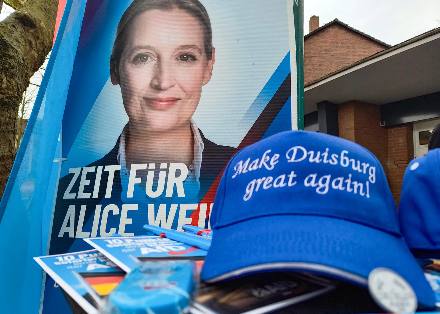 Erakonna Alternatiiv Saksamaale kaasjuhi Alice Weideli valimisplakat.