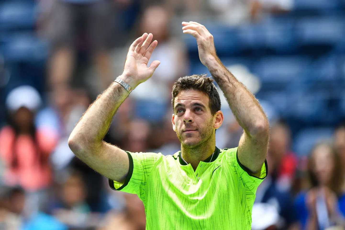 Juan Martin del Potro.