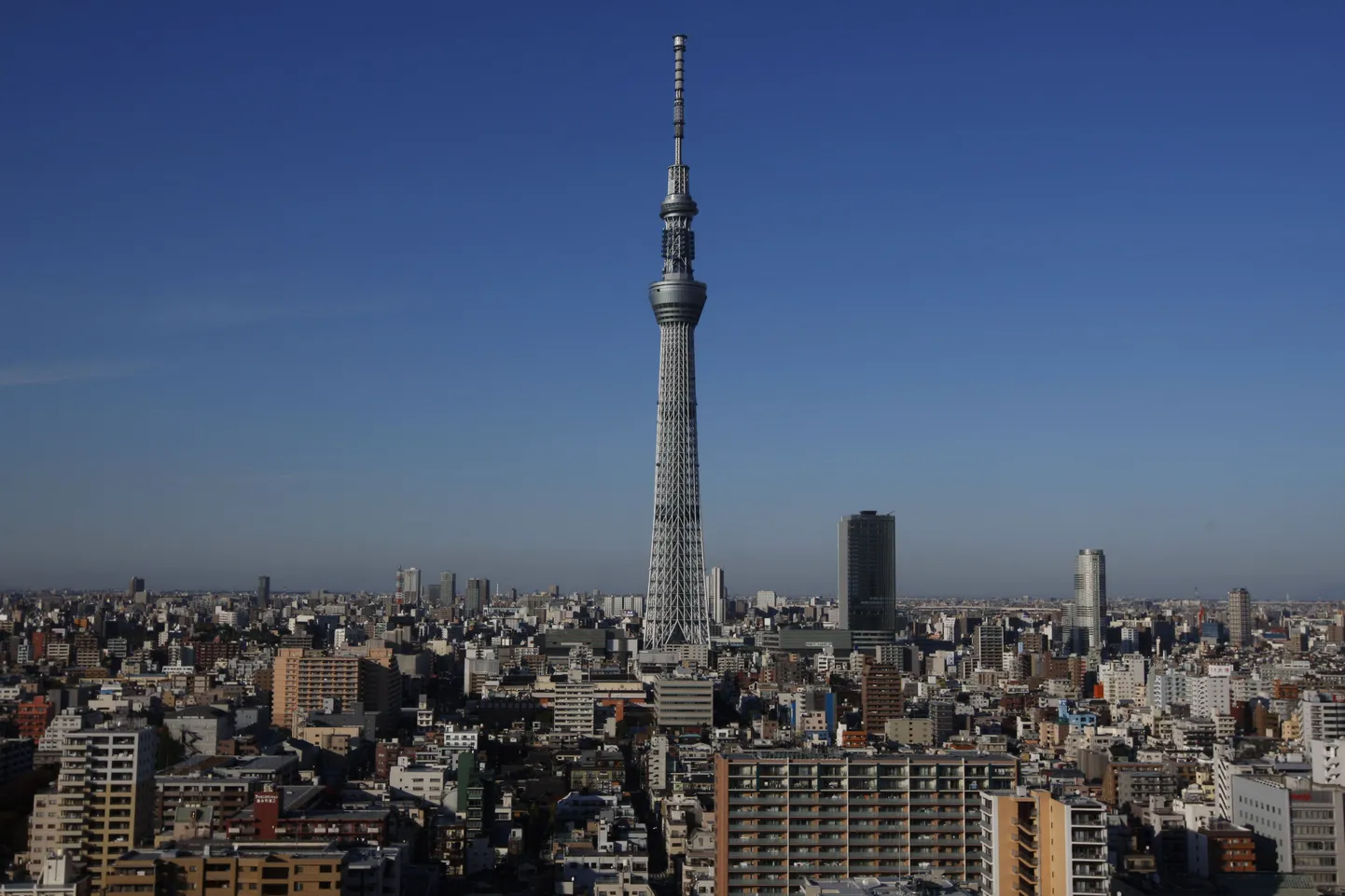 Tokyo Sky Tree