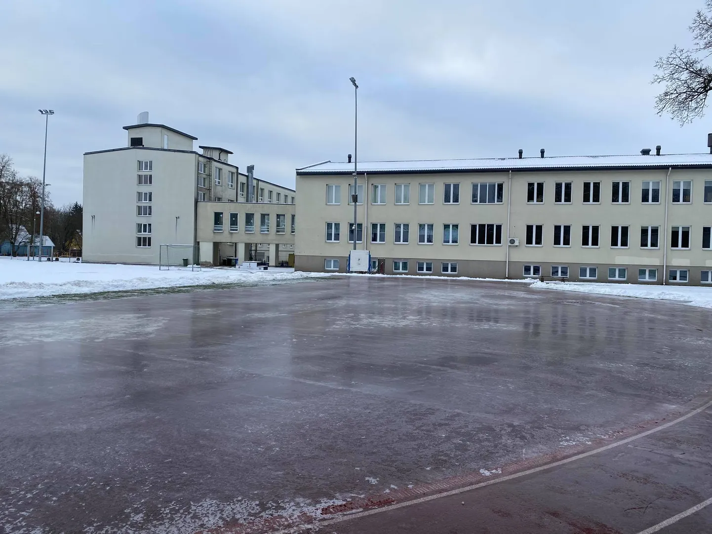 Artikli foto