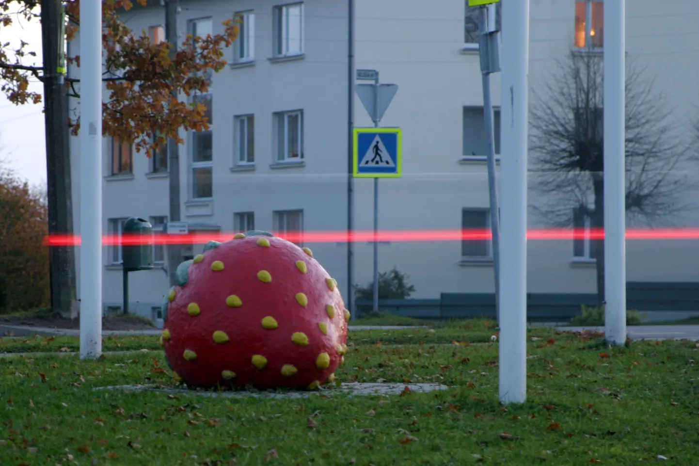 Neljapäeva õhtul seisis maasikas veel endisel kohal.