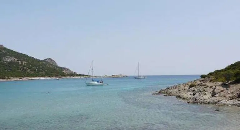 Artikli foto