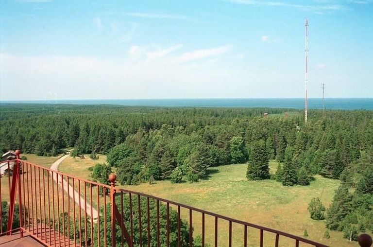 Вид с маяка на берег и лес острова Хийумаа.  