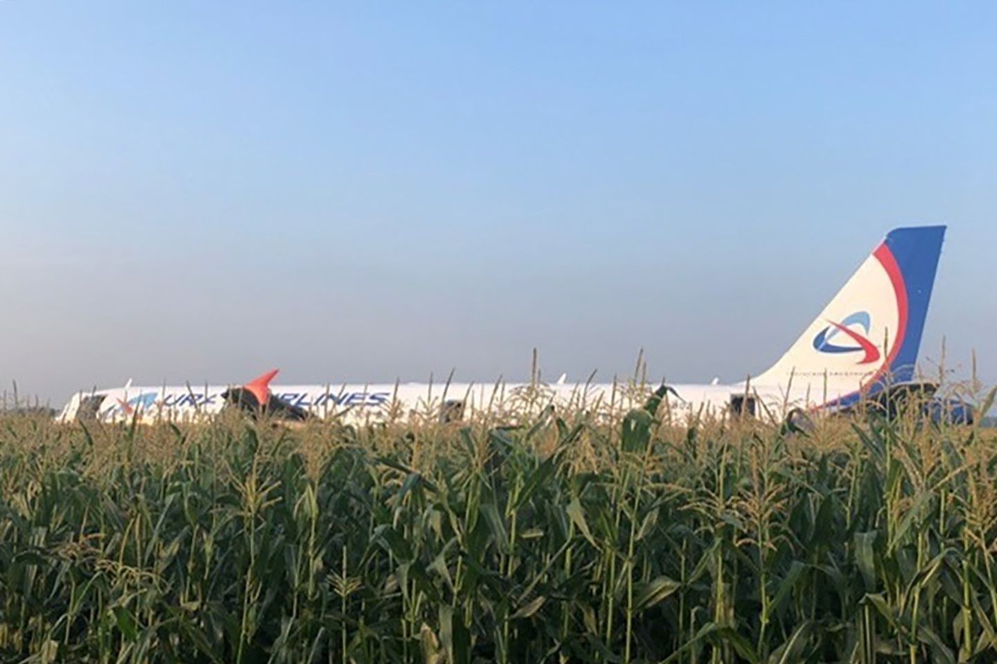 "Urālu aviolīniju" lidmašīna A-321 kukurūzas laukā netālu no Žukovskas