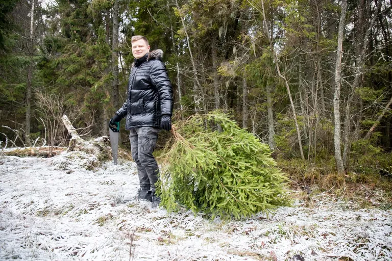 Эдгар Гергель в лесу с елочкой