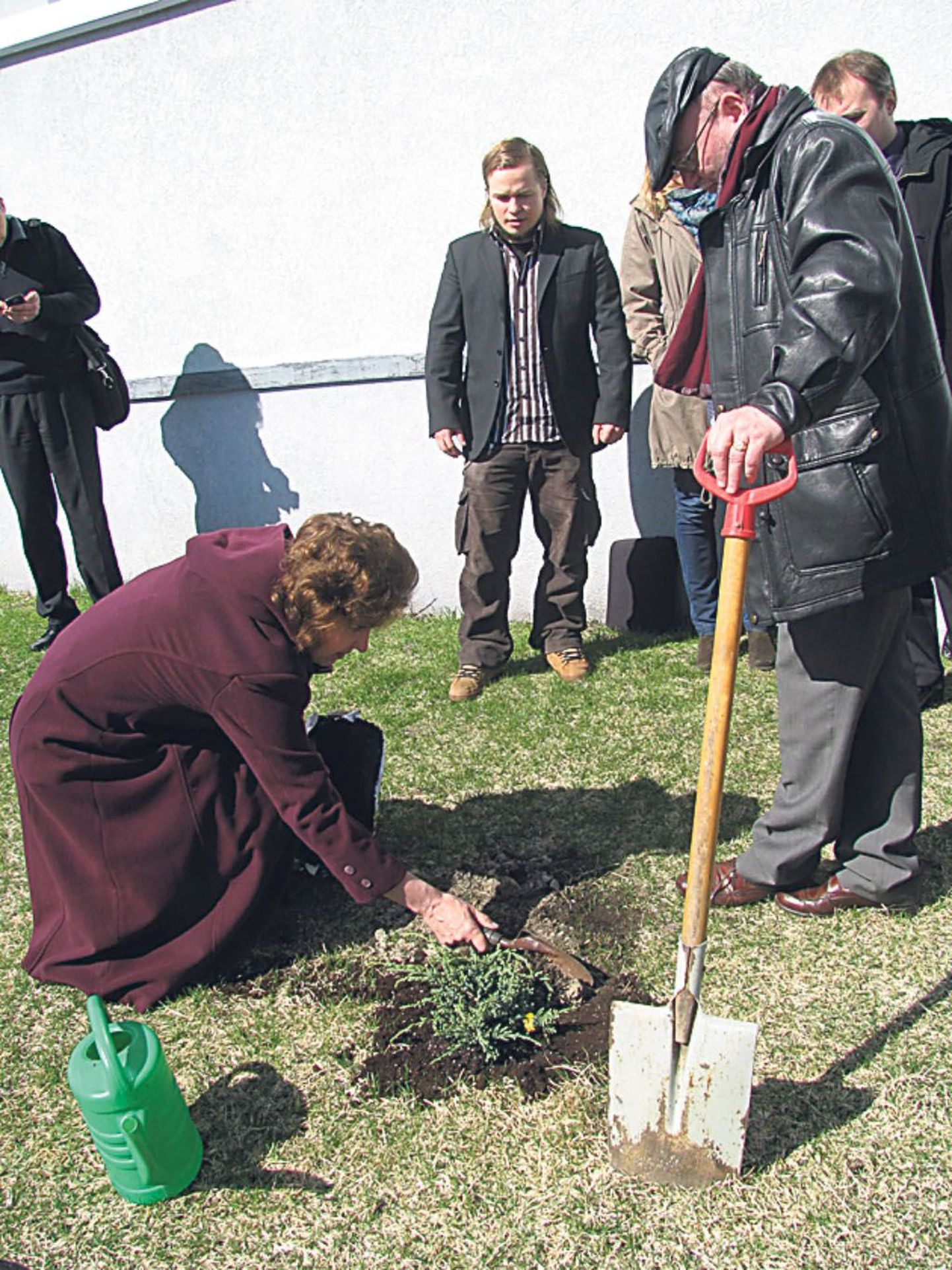 Abilinnapea Jane Mets ja külalisesinejad istutasid kooli direktori Indrek Kaldo eestvedamisel kooli haljasalale puu.