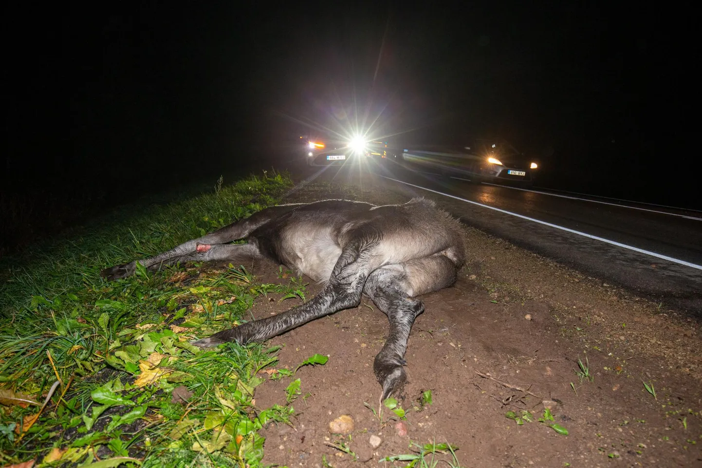 See põder jooksis õhtupimeduses Viljandist kümmekond kilomeetrit Pärnu poole jääva Raudna jõe silla läheduses kokku Toyota Hiluxi kastiautoga.