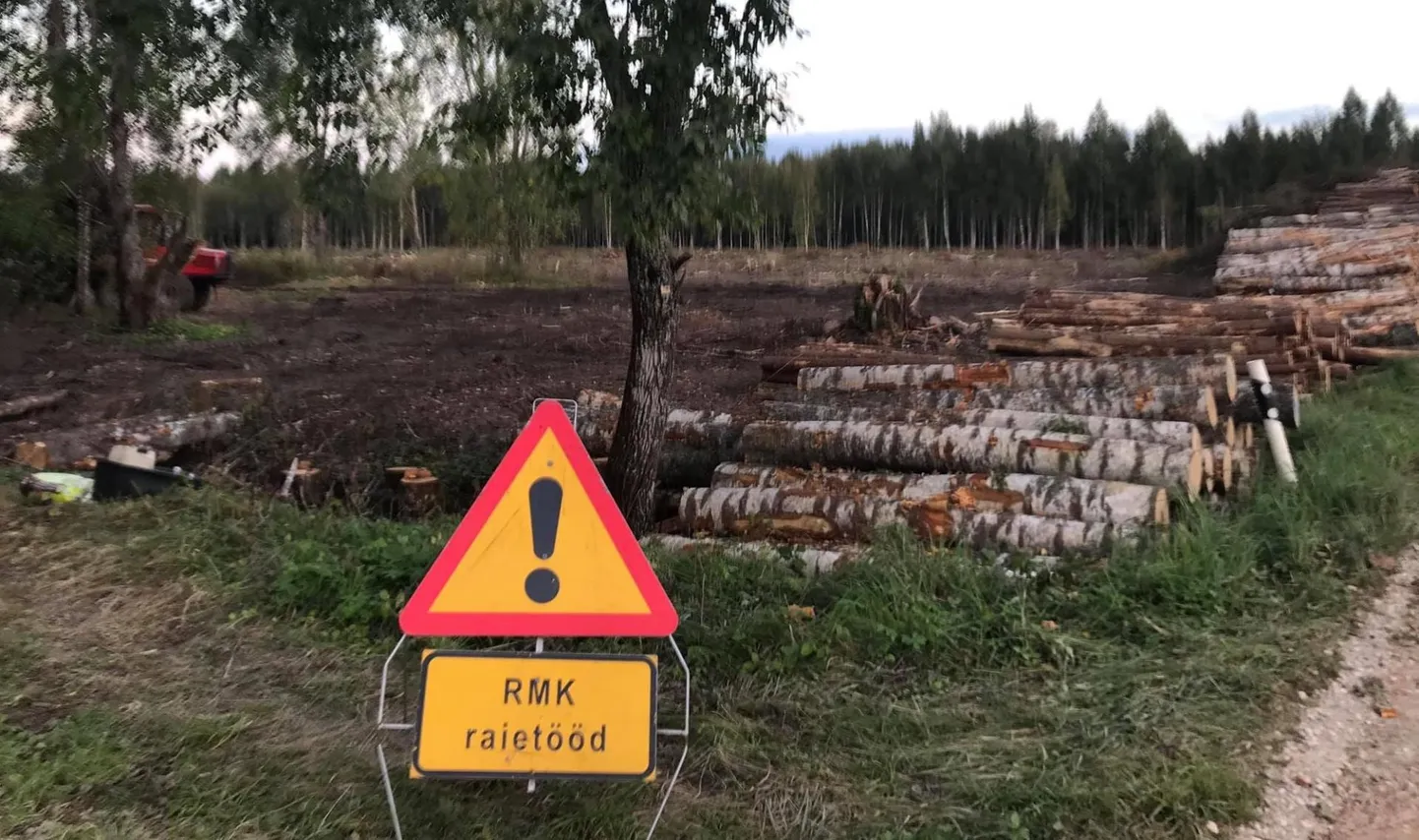 Raietööd, aga mitte metsaraie.