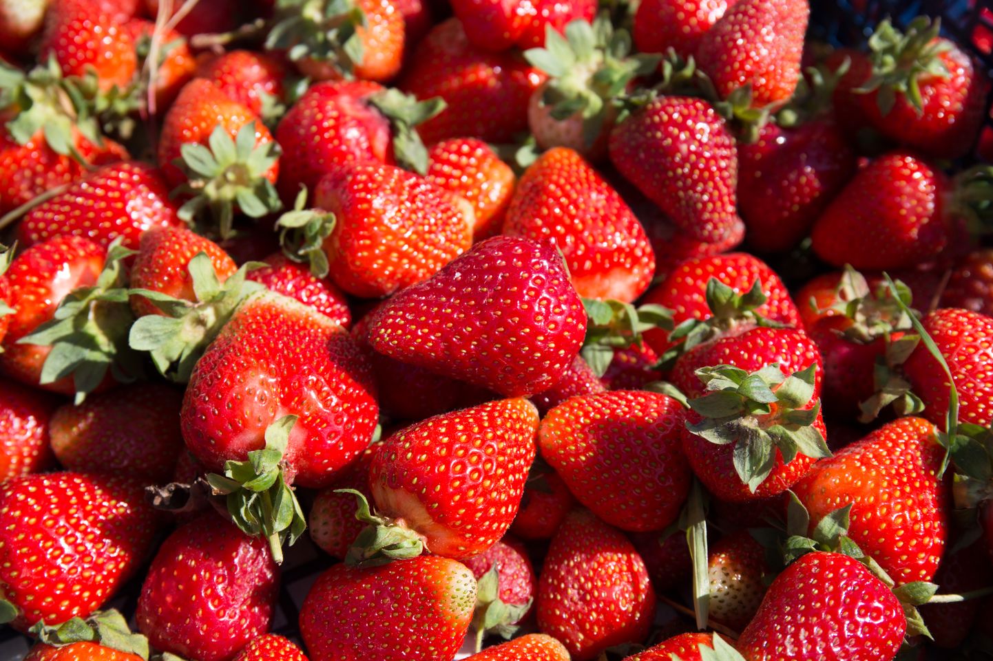 EESTI,29MAY18
Viljandi turg. Pildil Poola maasikas
ELMO RIIG/Sakala