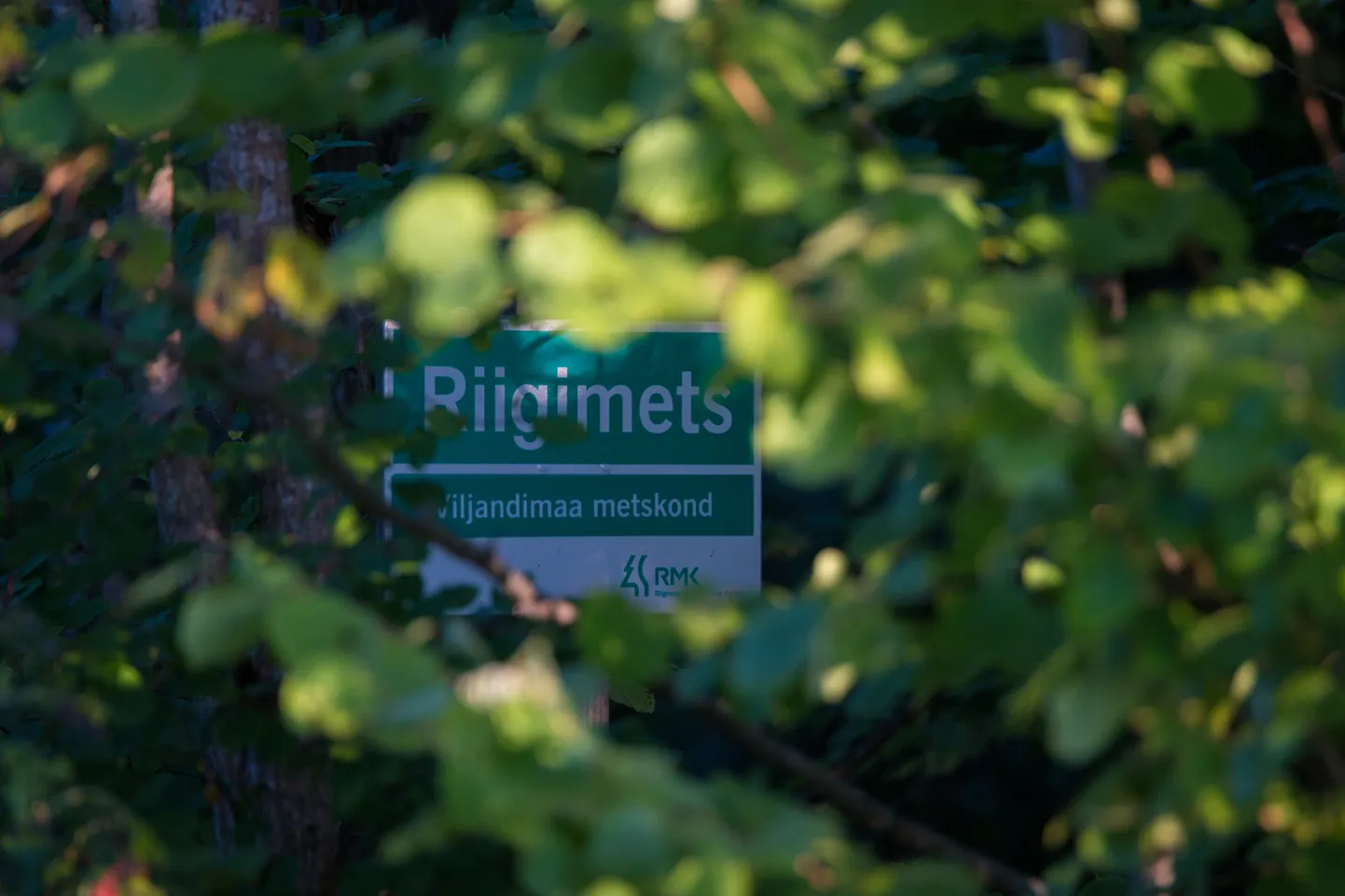 Riigimets.