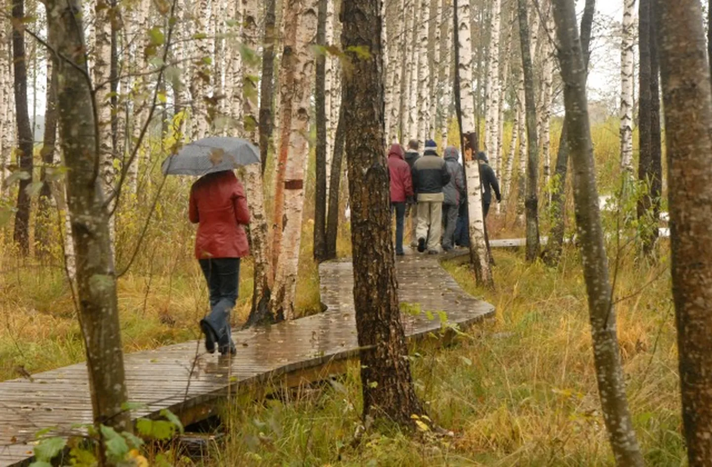 Фото статьи