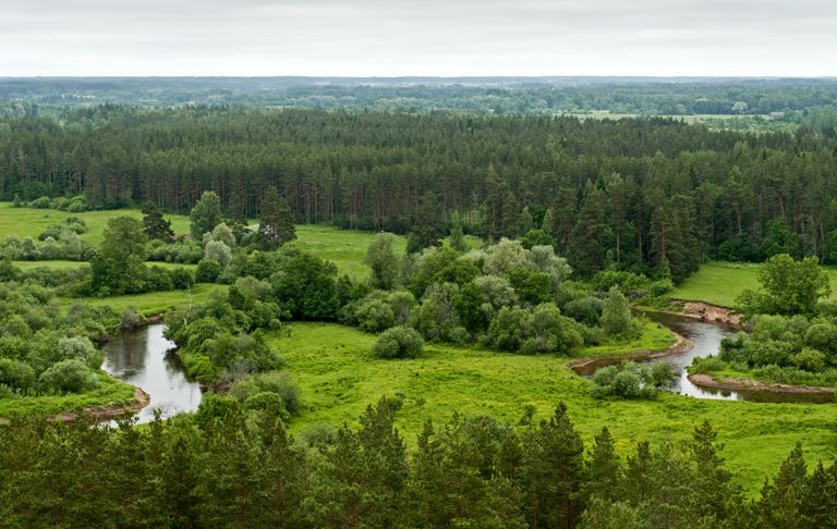 Южная Эстония