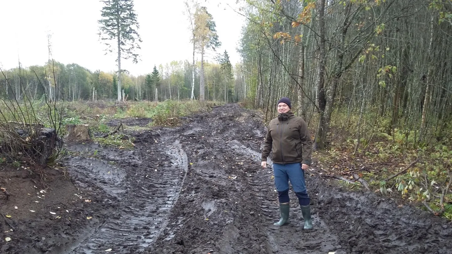 Rakvere metsaühistu metsa­konsulendil Meelis Matkamäel on kummikud põhivarustuses. Pärast raiet silutakse maapind ja uued puud saavad ­kasvama hakata.
