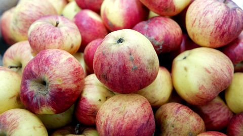 Биологи предупреждают: обычное яблоко содержит в себе миллионы опасных бактерий