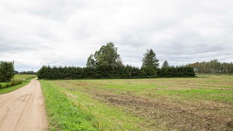 Verepulm Valgamaal: selline pauk, et täitsa lõpp