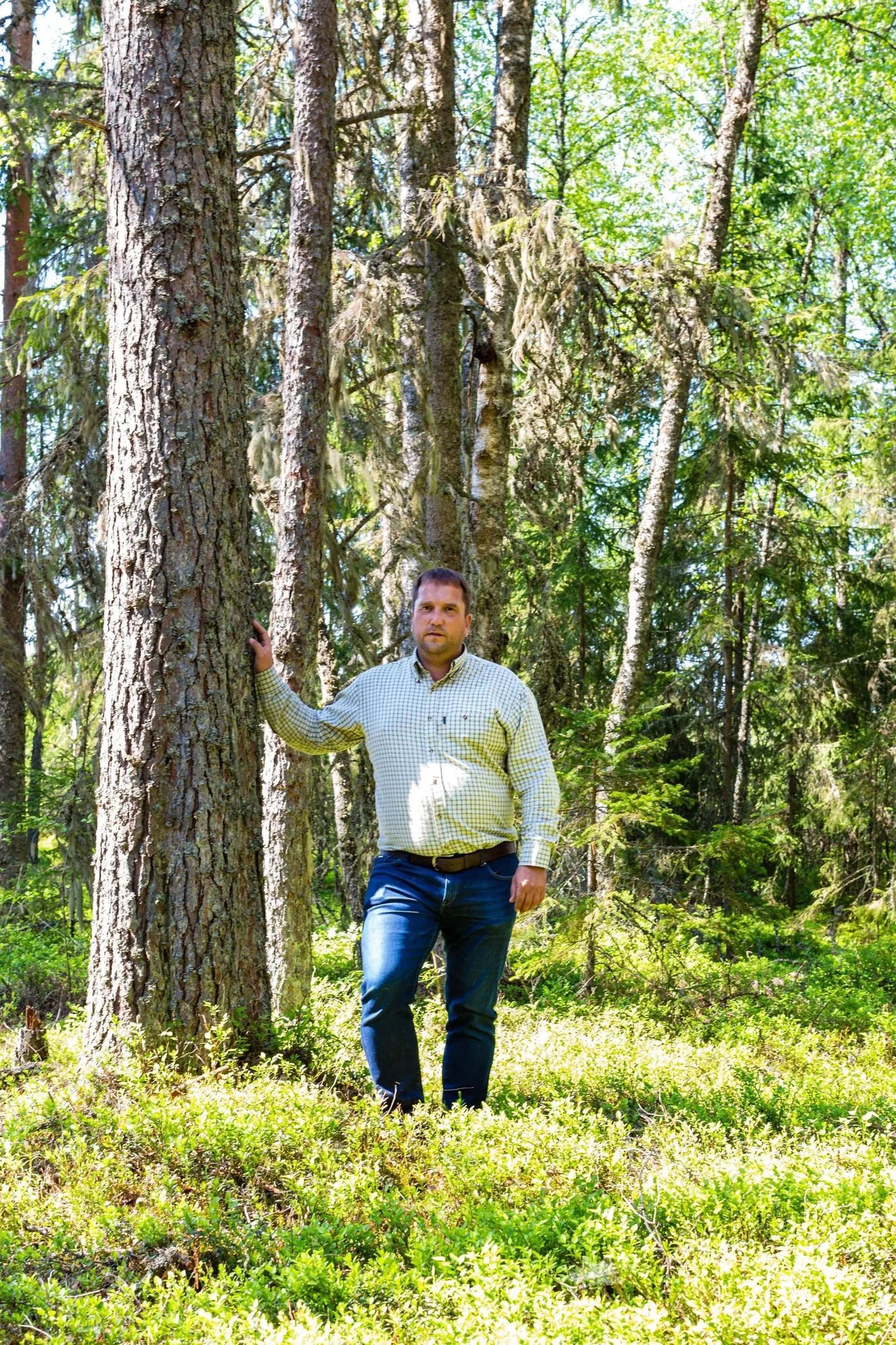 Ettevõtja Andres Olesk leiab, et majandusmetsades peaks raieaja otsustama maaomanik.