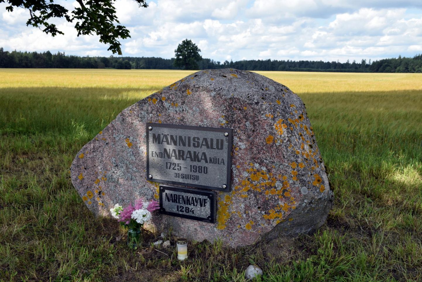 Männisalu küla mälestuskivi.