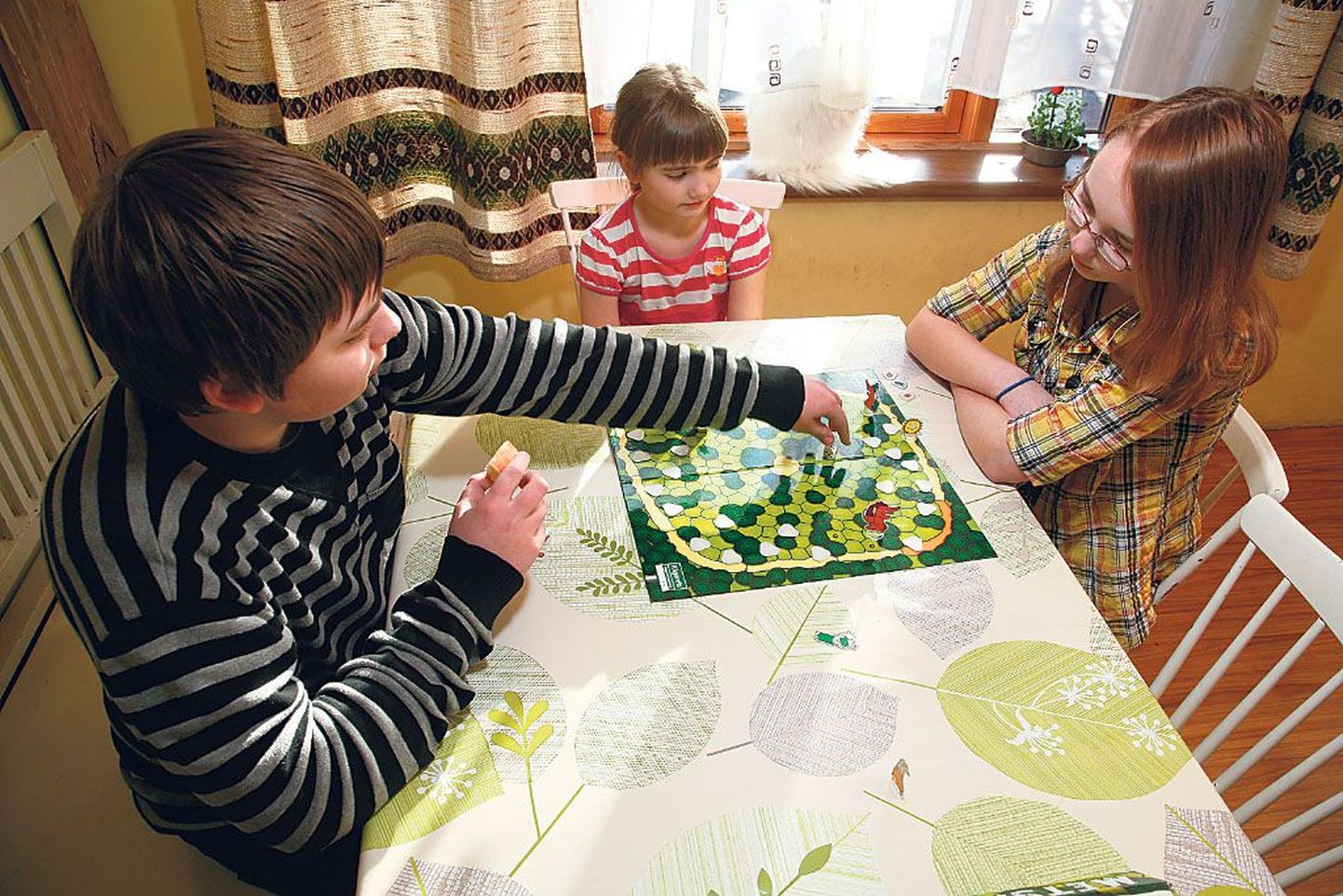 12aastane Mihkel, 9aastane Kati ja 15aastane Kristiina ei mängi lauamänge just tihti, aga kui arvuti ja telekas on keelu all, oskavad nad mängulaual nuppe liigutada küll.