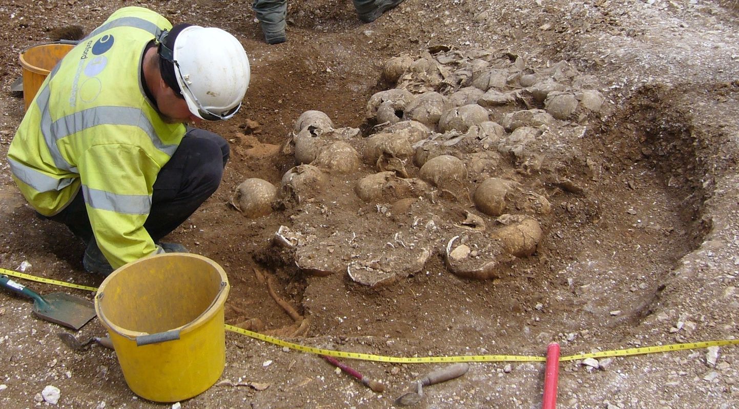 Massihauast leitud inimjäänused kuuluvad viikingitele