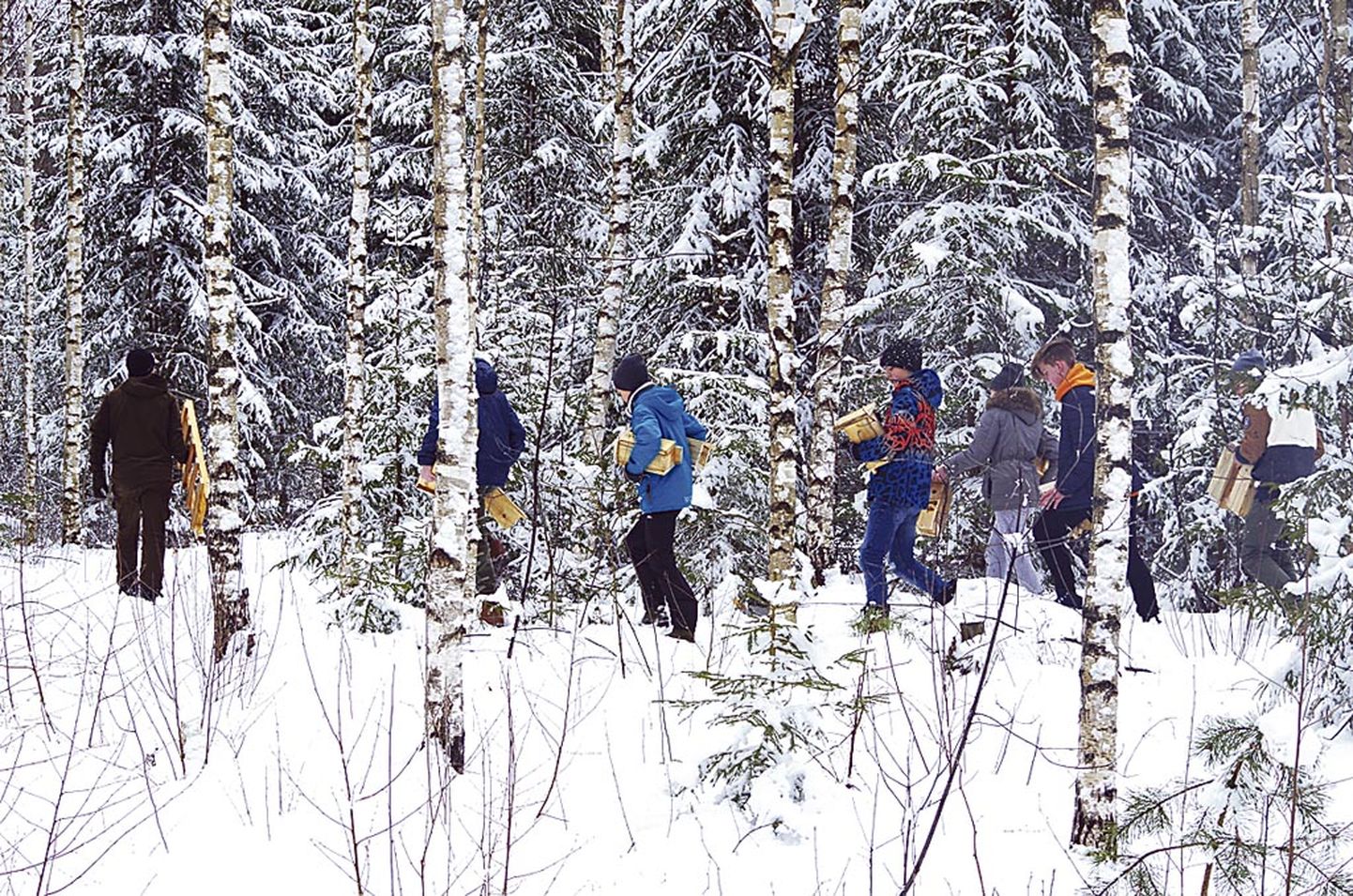 Lumises metsas panid Kilingi-Nõmme gümnaasiumi õpilased üles 75 omavalmistatud pesakasti.
