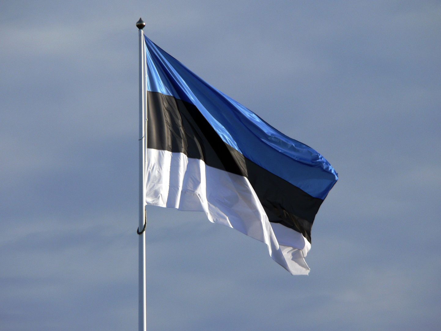 Государственный флаг Эстонии.