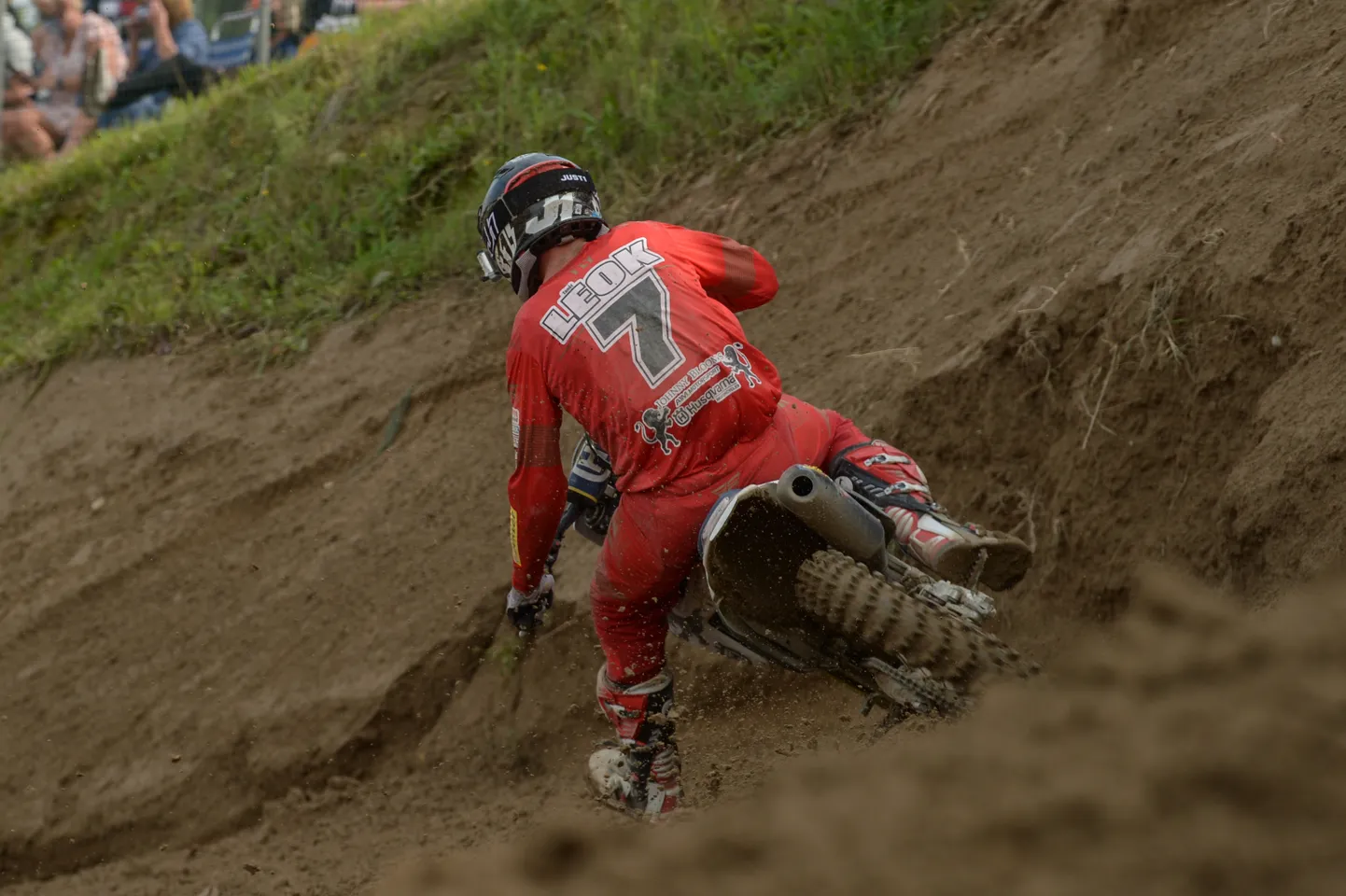 Tanel Leok