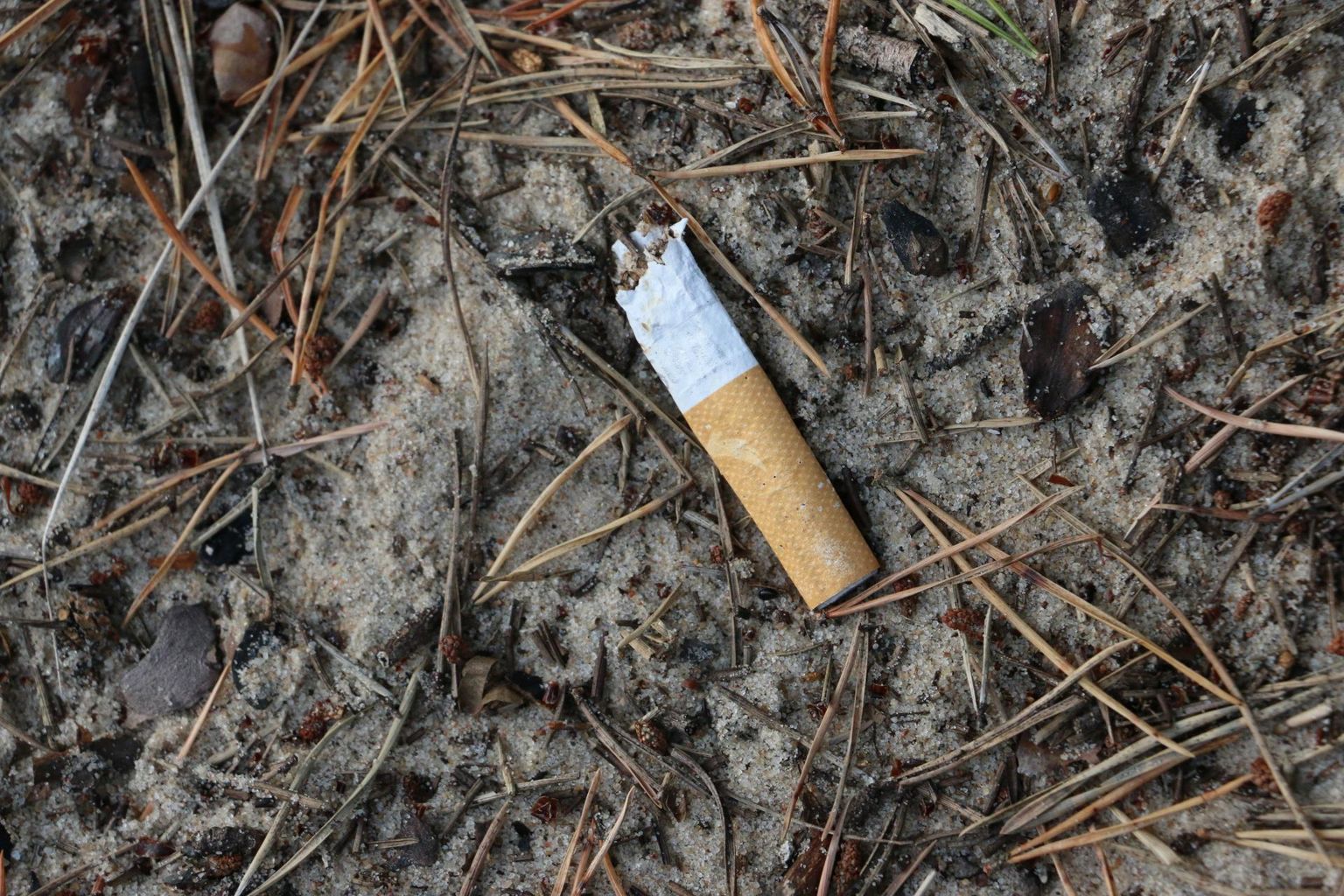 Suurimaks prügiprobleemiks peetakse plasti. Tegelikult on selleks suitsukonid.