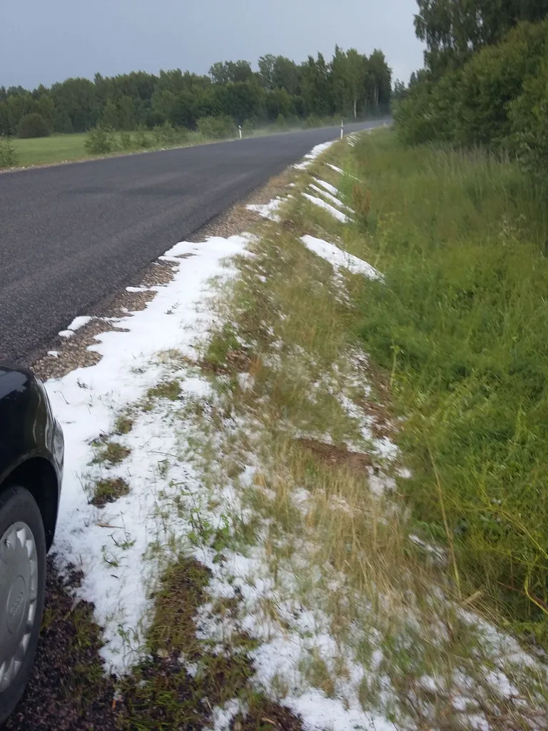 Rahe Ida-Virumaal Uljaste külas. Foto:
