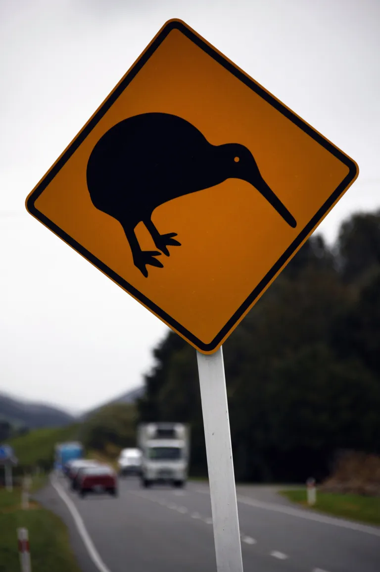 Teel liikuvate kiivide eest hoiatav liiklusmärk Wellingtoni lähistel.