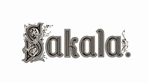 JUHTKIRI ⟩ President, kellelt võib palju oodata
